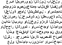 Velbloud