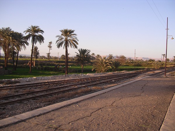 Egypt 2007