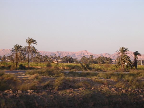 Egypt 2007