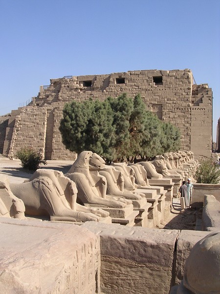 Egypt 2007
