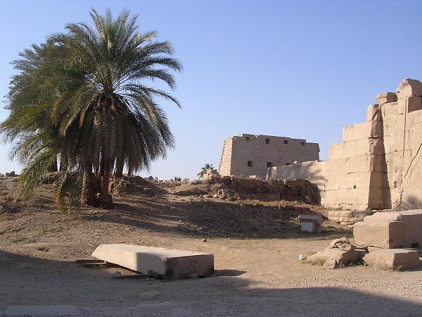 Egypt 2007