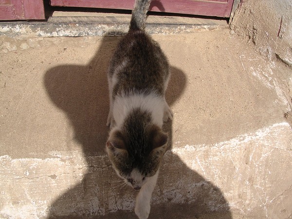 Egypt 2007