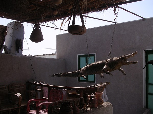 Egypt 2007