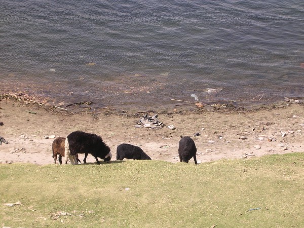 Egypt 2007