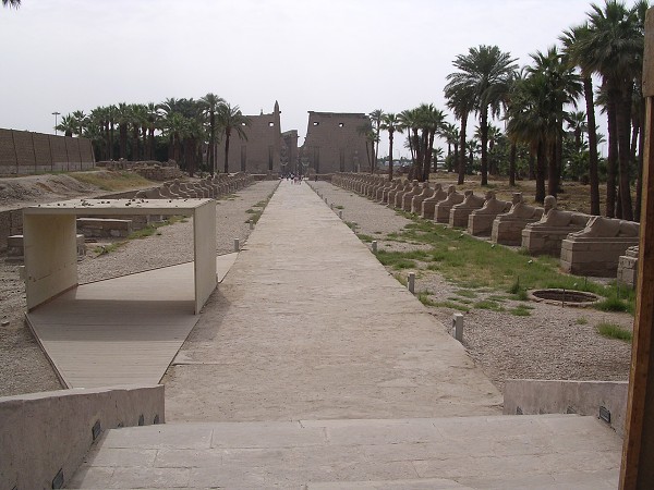 Egypt 2007